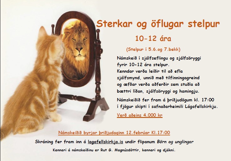 strerkarogoflugar